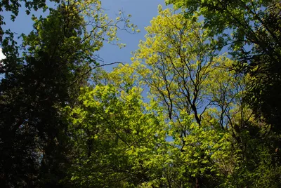 DSC_0082 (Large).JPG